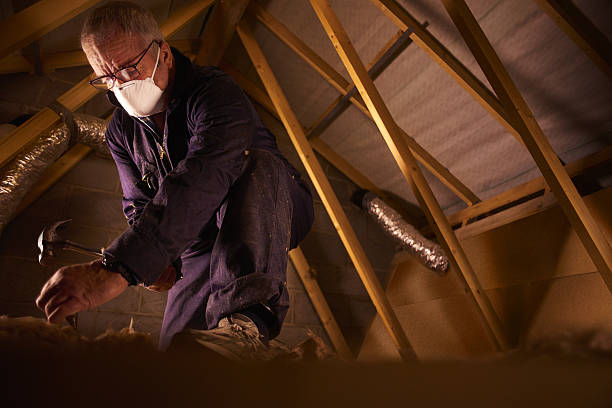 Best Geographic-Specific Insulation Services in Greenhills, OH