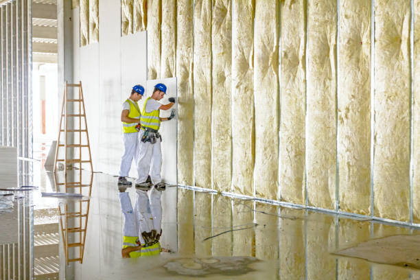 Best Specialized Insulation Services in Greenhills, OH